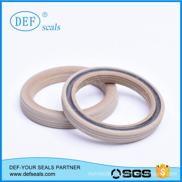 PTFE Spring Energized Seals for Cylinder Seals